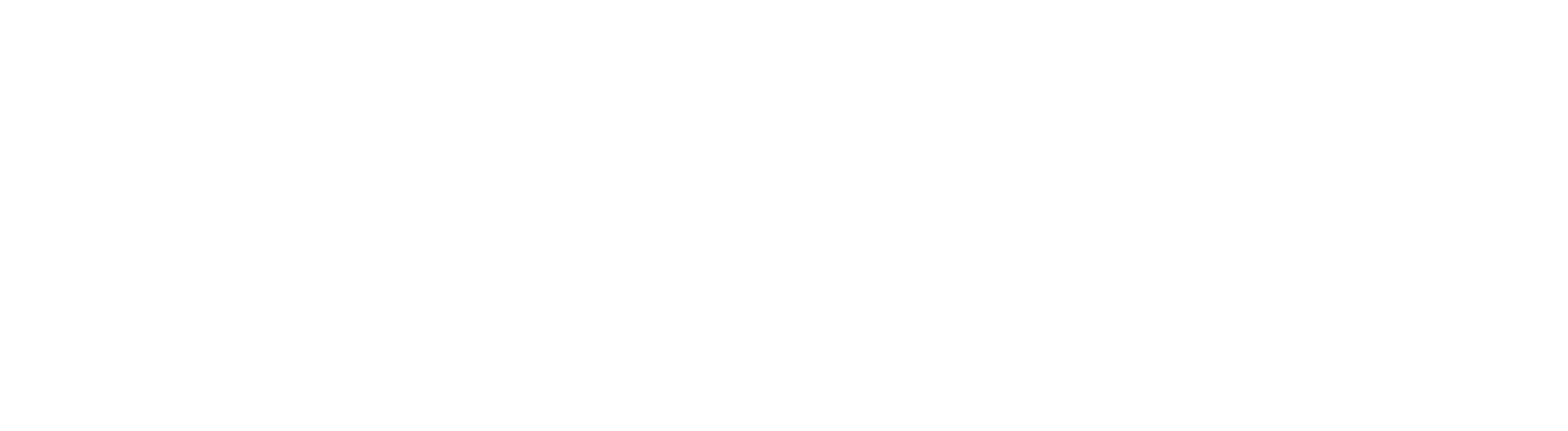 SoliderSound Logo