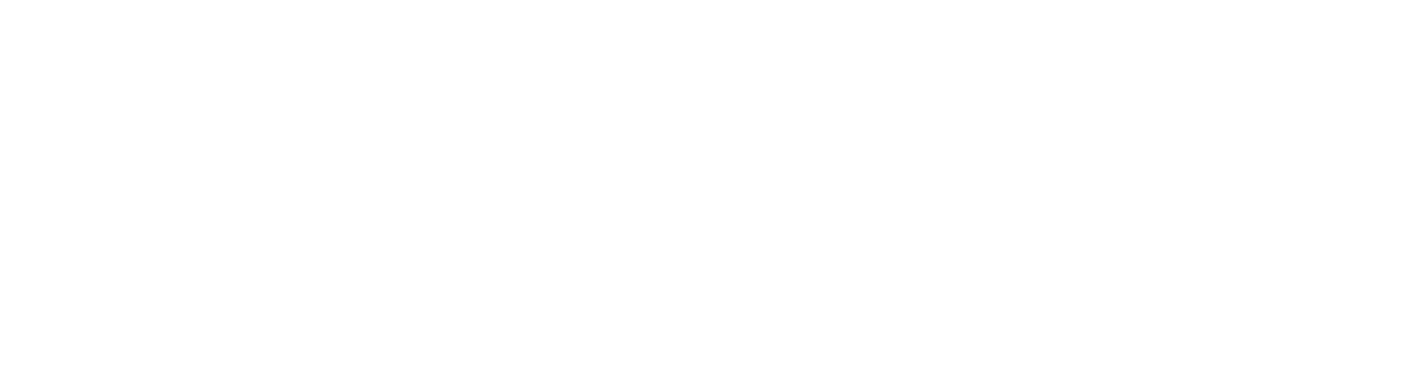 SoliderSound Logo